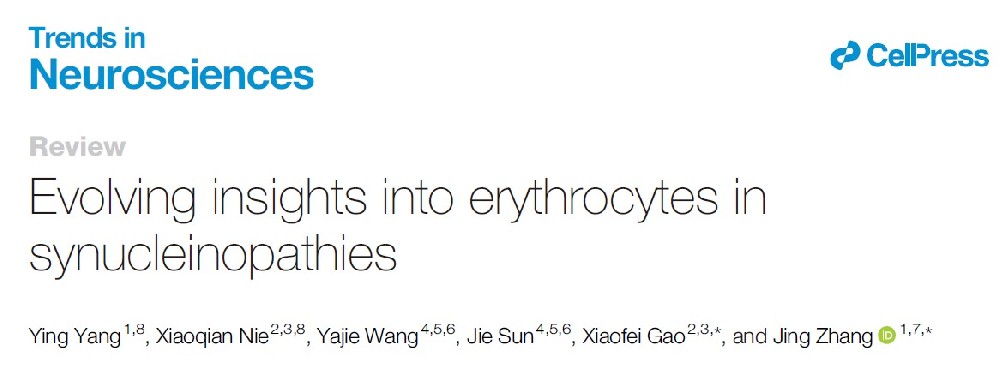TINS | 西湖大学高晓飞团队联合浙江大学章京团队揭示红细胞与帕金森疾病的关系以及红细胞治疗可能发挥的治疗作用